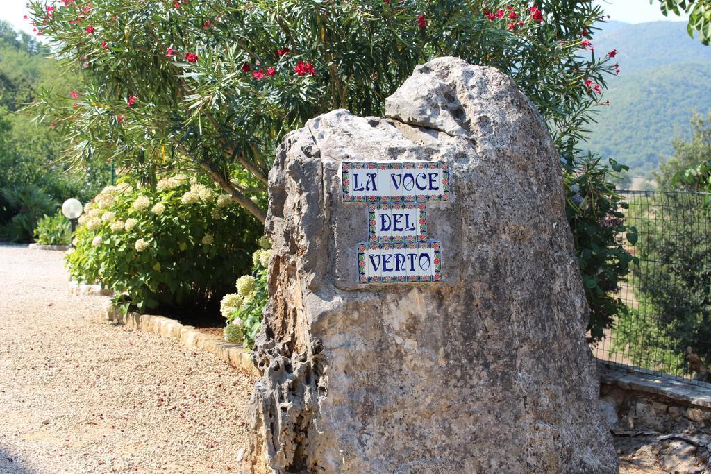 Villa La Voce Del Vento Pastena  Extérieur photo